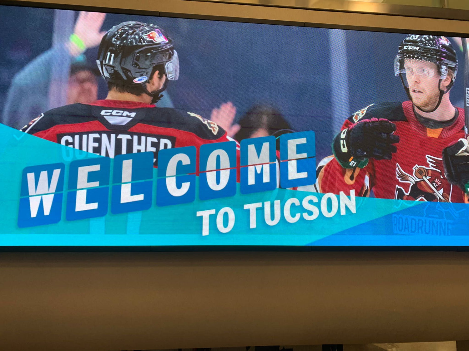 TUCSON 2024 GEM SHOW