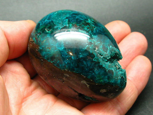 Kazakhstan Treasure from the Earth!! Very Rare Large Dioptase Egg From Altyn Tyube, Kazakhstan - 2.4"