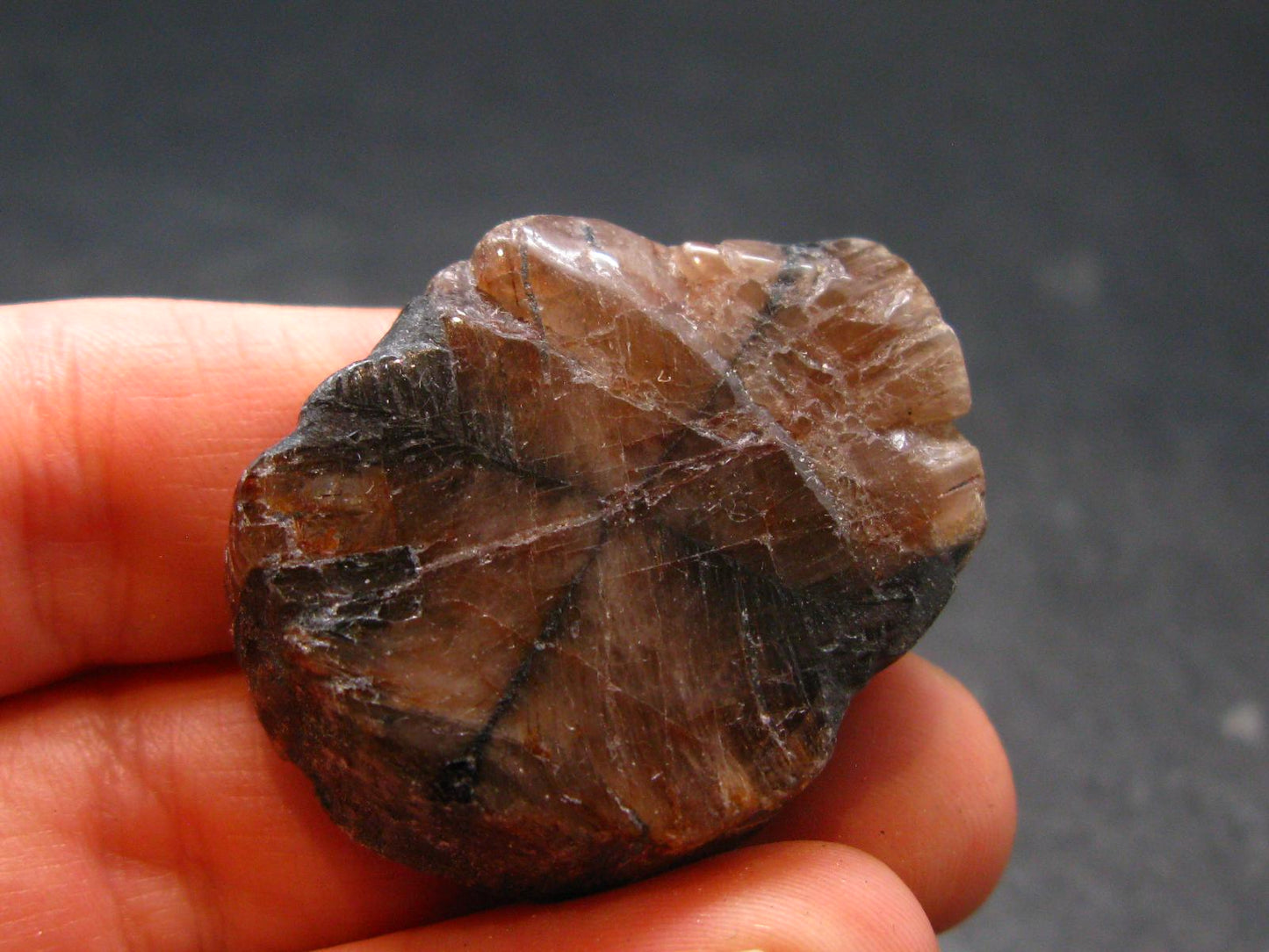 Andalusite Chiastolite Crystal From China - 1.4" - 22.12 Grams