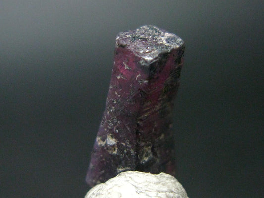 Ruby Crystal from Winza Tanzania - 0.6" - 10.02 Carats