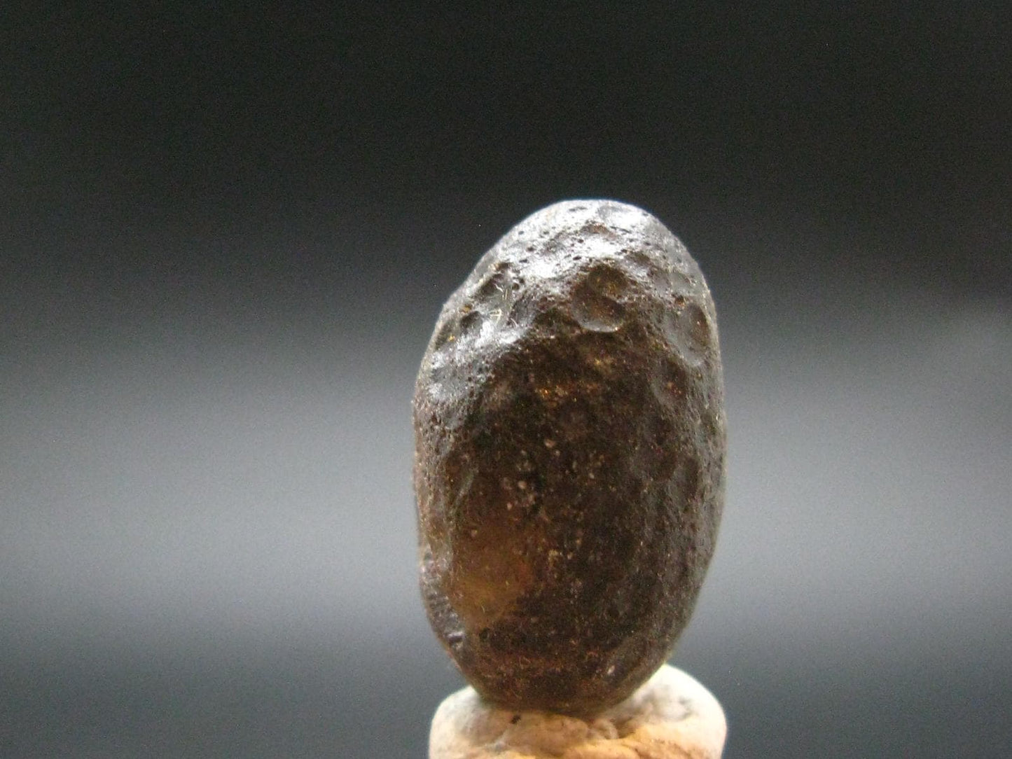 Colombianite Pseudotektite from Colombia - 5.46 Grams - 0.8"