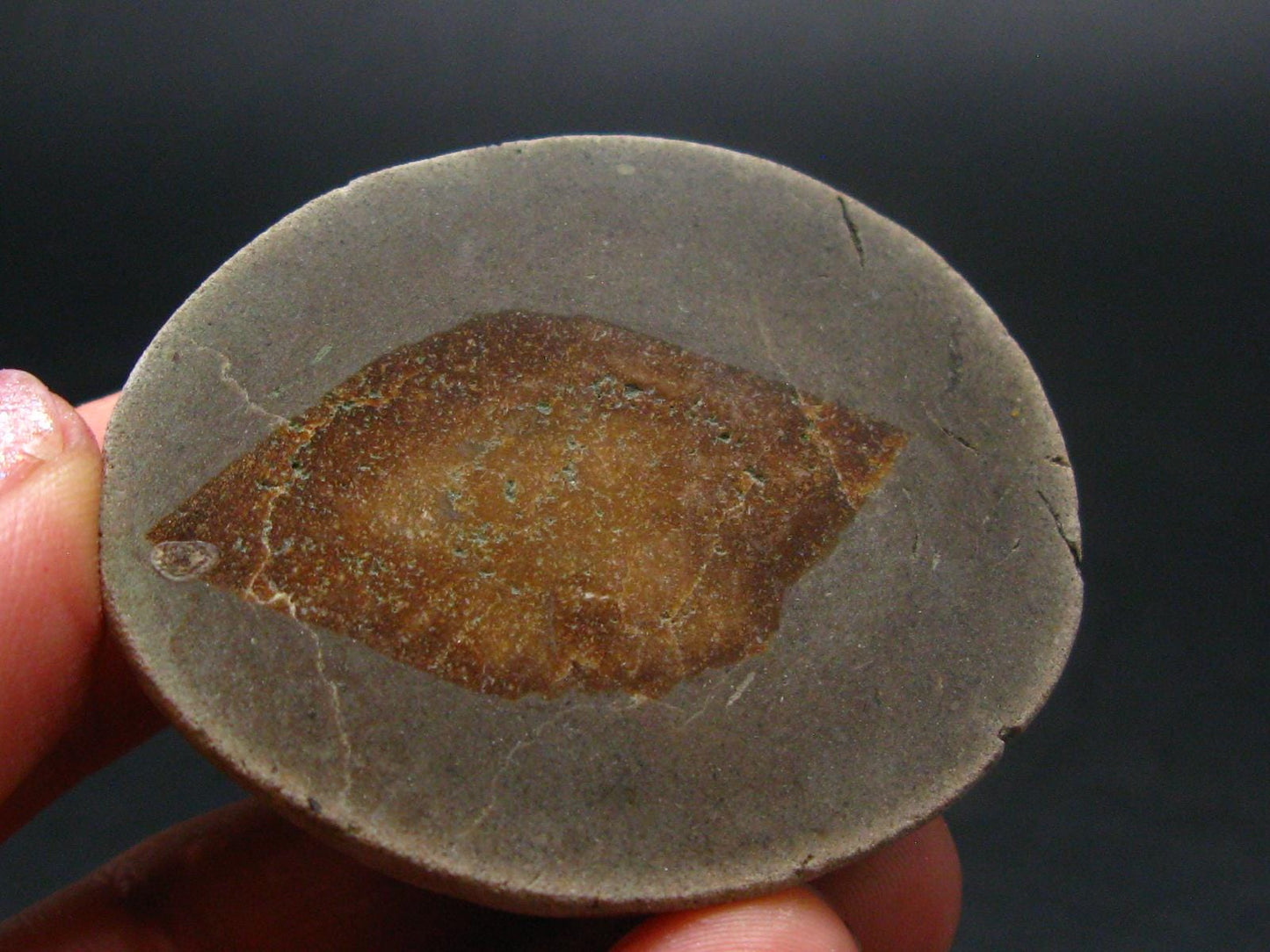 Glendonite (Ikaite after Calcite) Crystal From Russia - 1.8" - 42.91 Grams