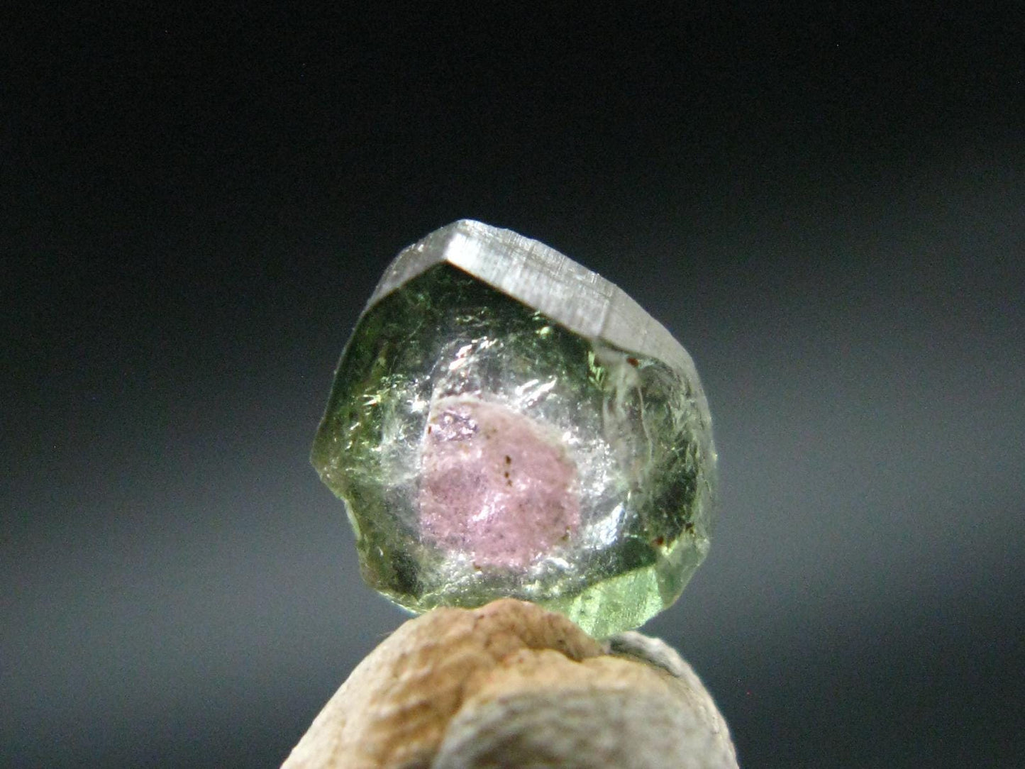 Rare Watermelon Tourmaline Crystal Slice From Brazil - 1.54 Carats