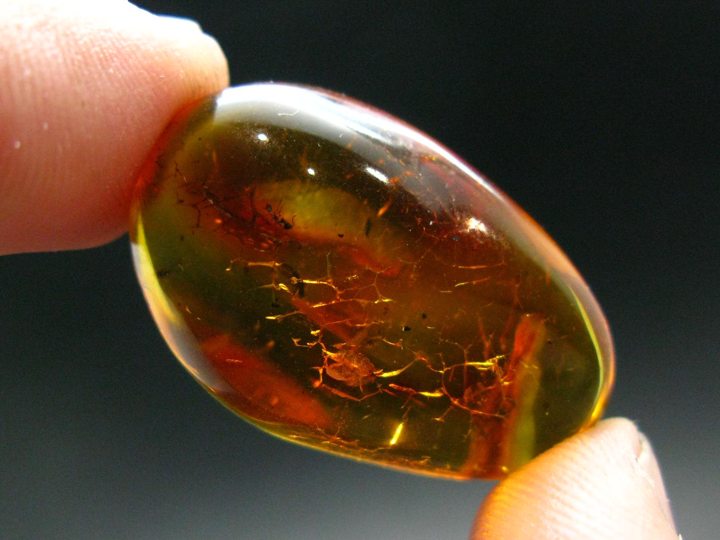 Insects in Amber Piece From Baltic Sea - 5.10 Grams - 1.4"