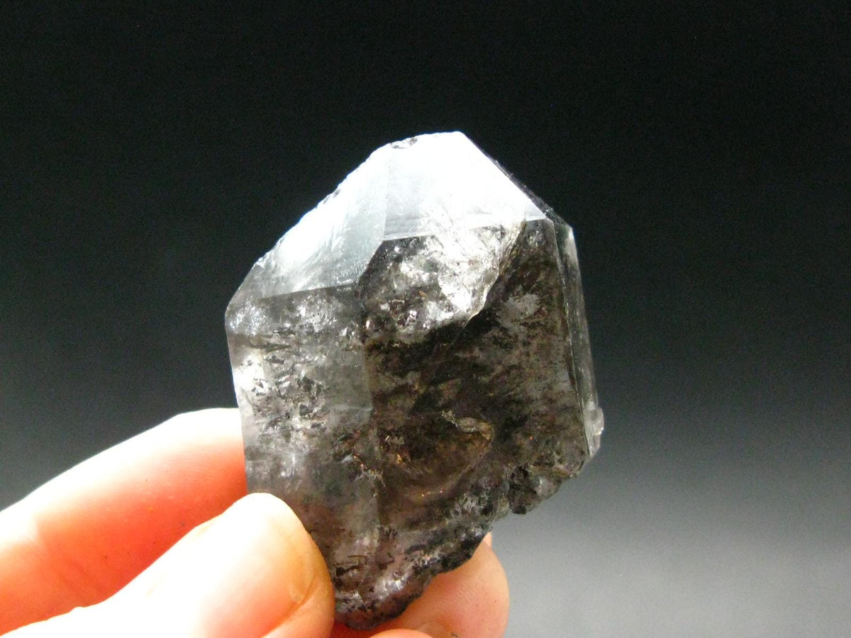 Nice Terminated Tibetan Black Quartz Crystal from Tibet - 1.7" - 30.80 Grams