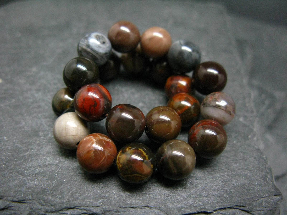 Petrified Wood Genuine Bracelet ~ 7 Inches ~ 8mm Round Beads