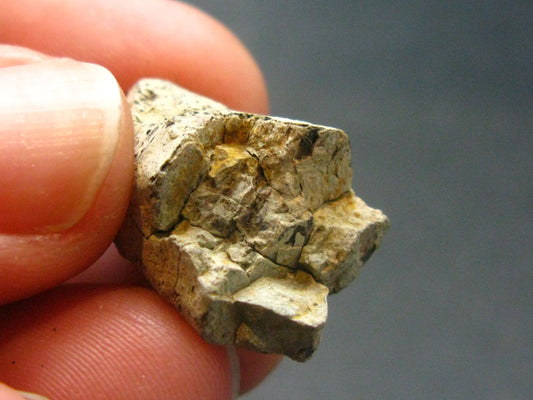 Lanthanum Parisite - (La) Crystal From Brazil - 0.8" - 28.20 Carats