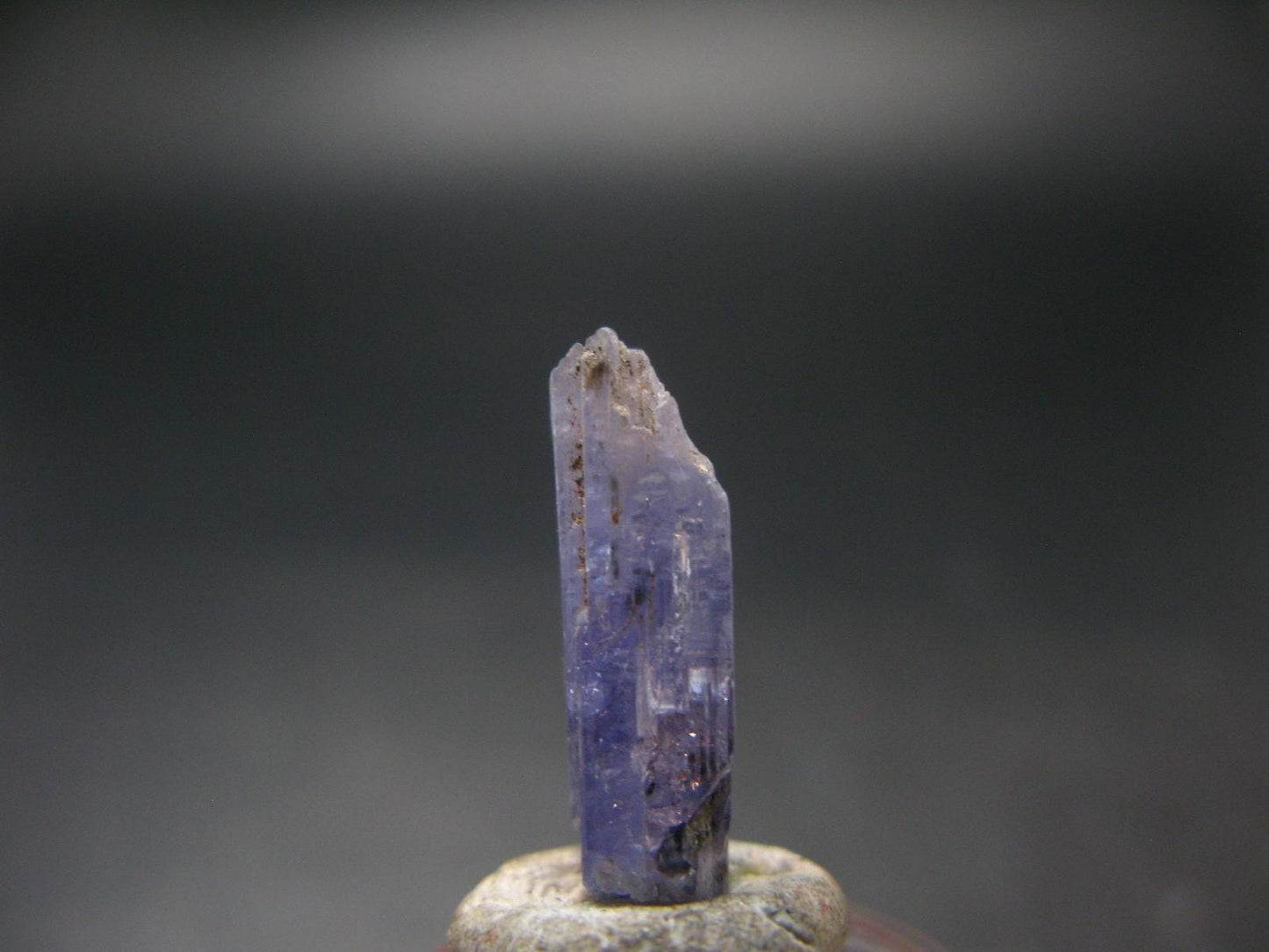 Fine Gem Tanzanite Zoisite Crystal From Tanzania - 7.55 Carats - 0.7"