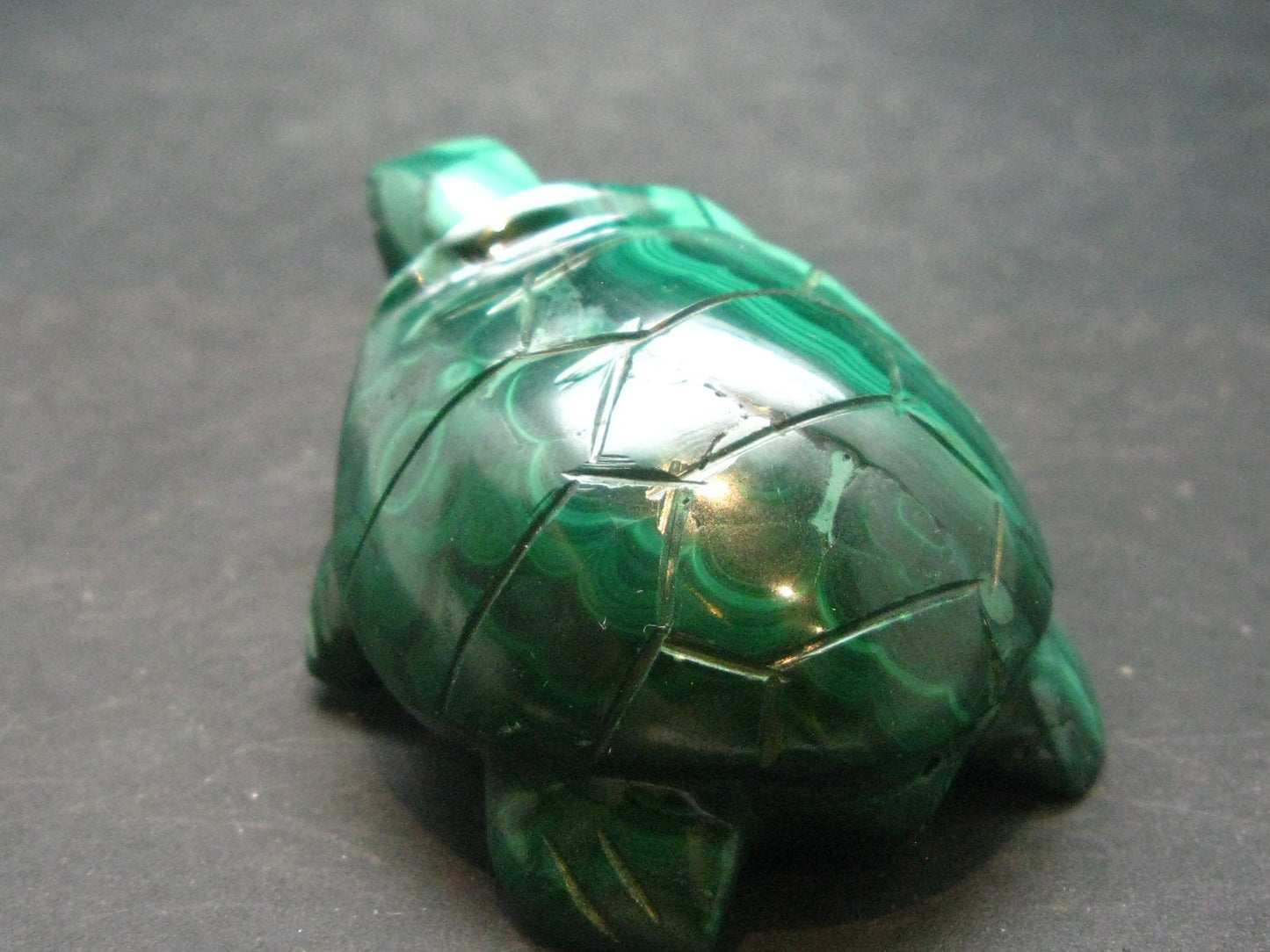 Rich Vivid Vibrant Green Malachite Turtle Carving From Congo - 2.5"