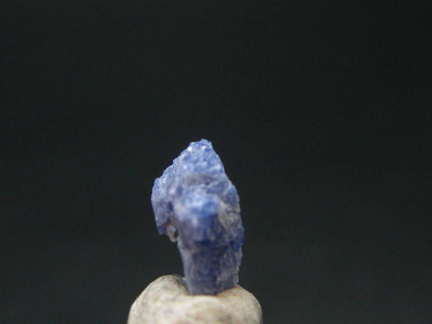 Fine Rare Carletonite Crystal From Mt. St. Hilaire Canada - 0.4" - 0.41 Grams
