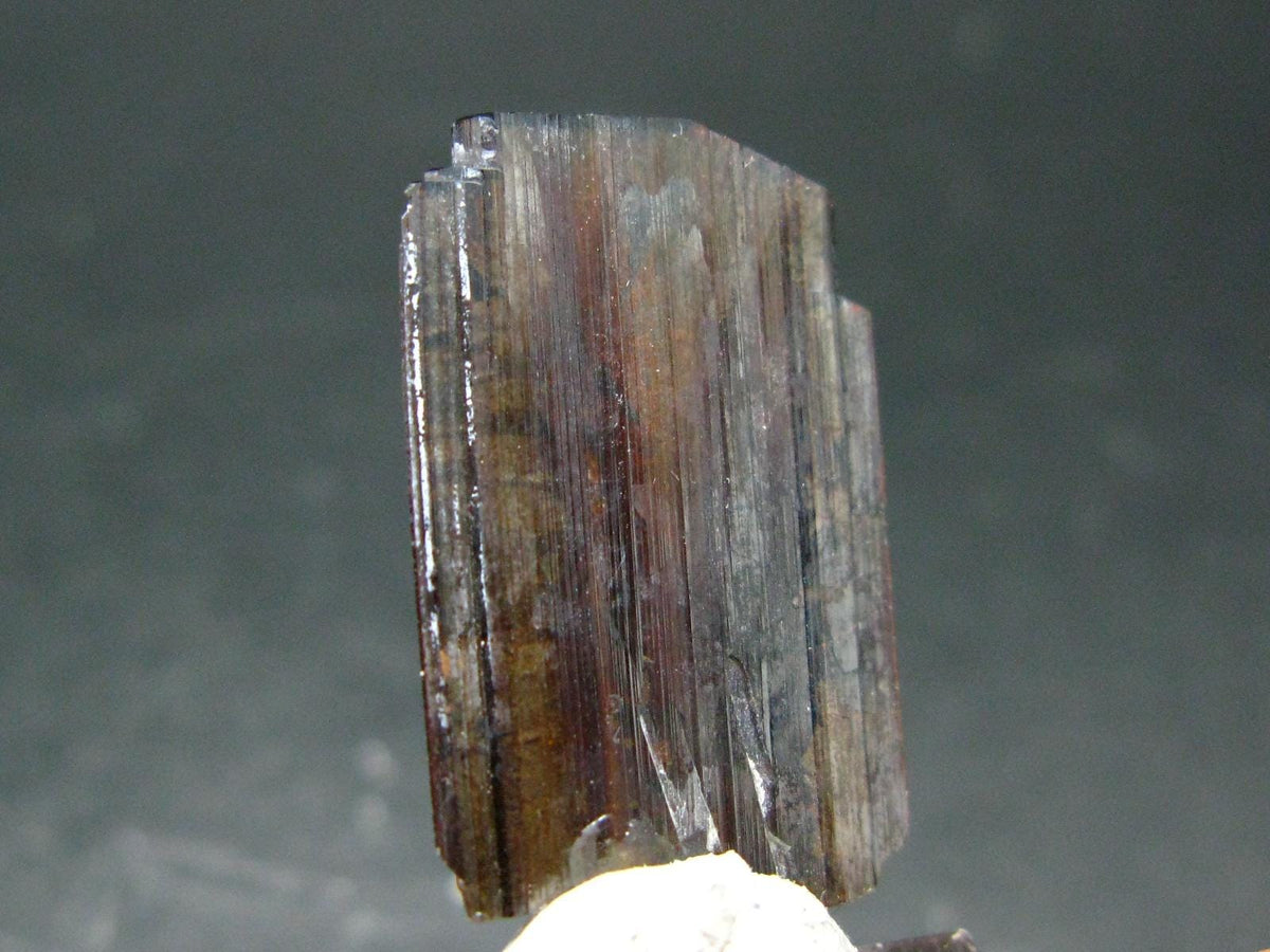 Large Brookite Crystal From Pakistan - 1.40 Grams - 26 mm