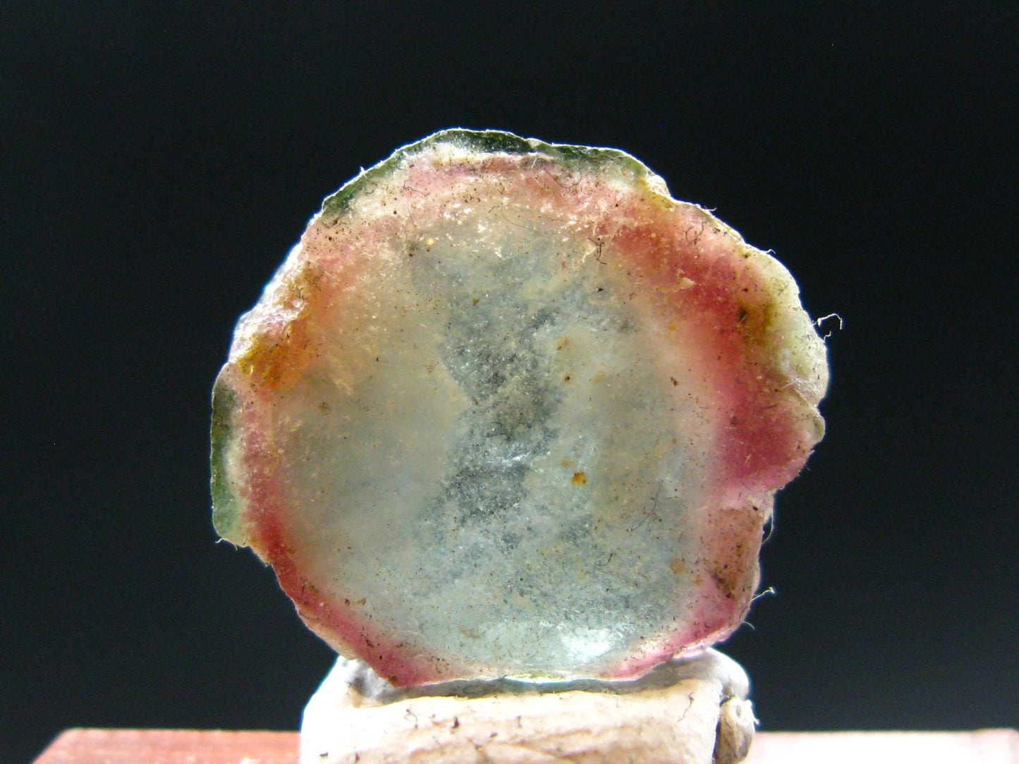 Rare Watermelon Tourmaline Crystal Slice From Brazil - 7.01 Carats