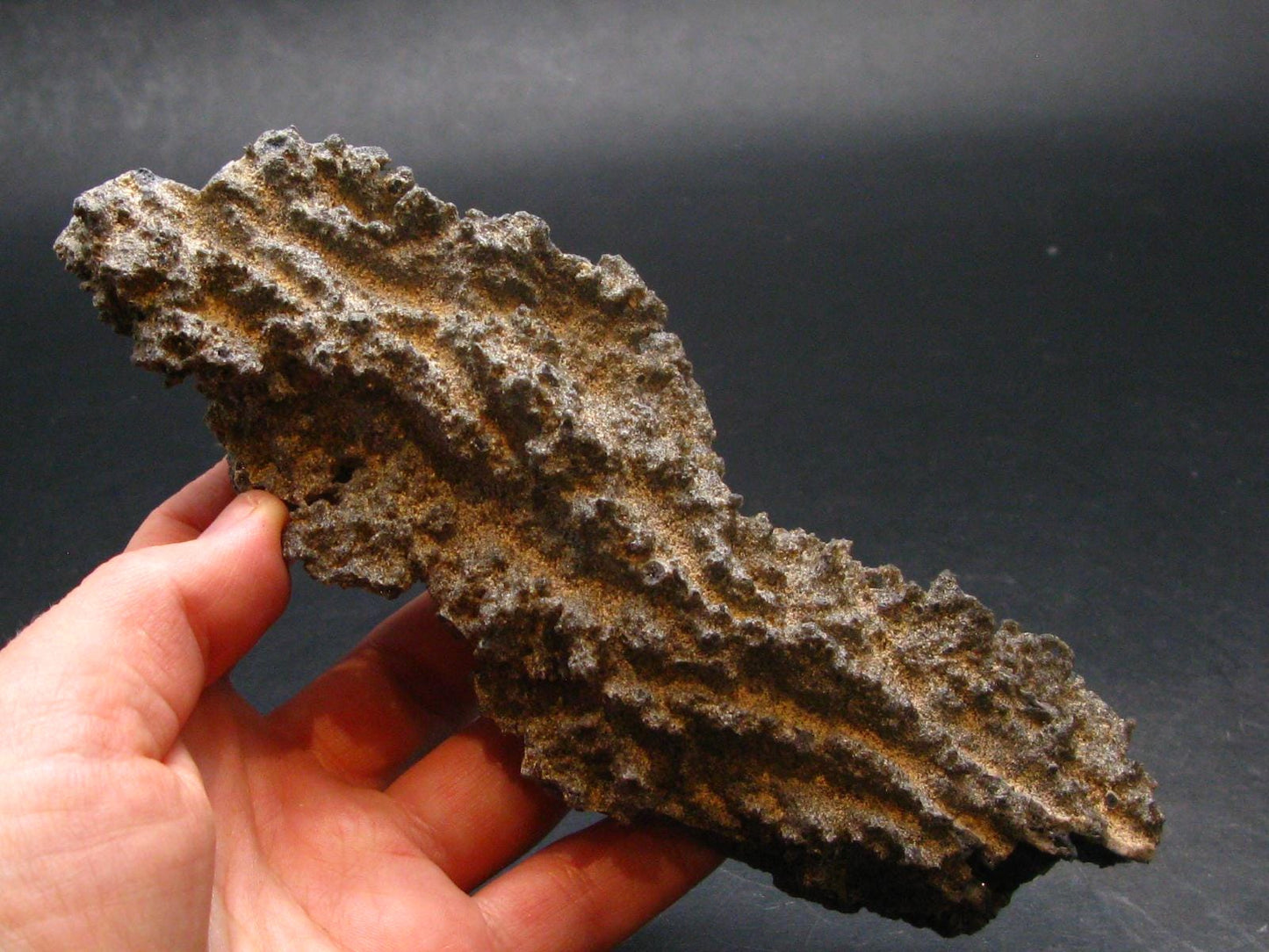 Large Fulgurite Lightning Rock From Sahara Desert - 6.2"