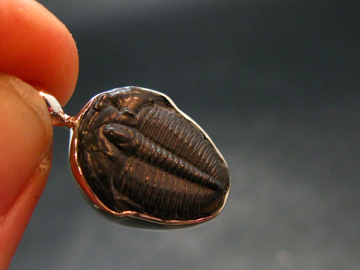 Trilobite Silver Pendant from USA - 1.0" - 2.42 Grams