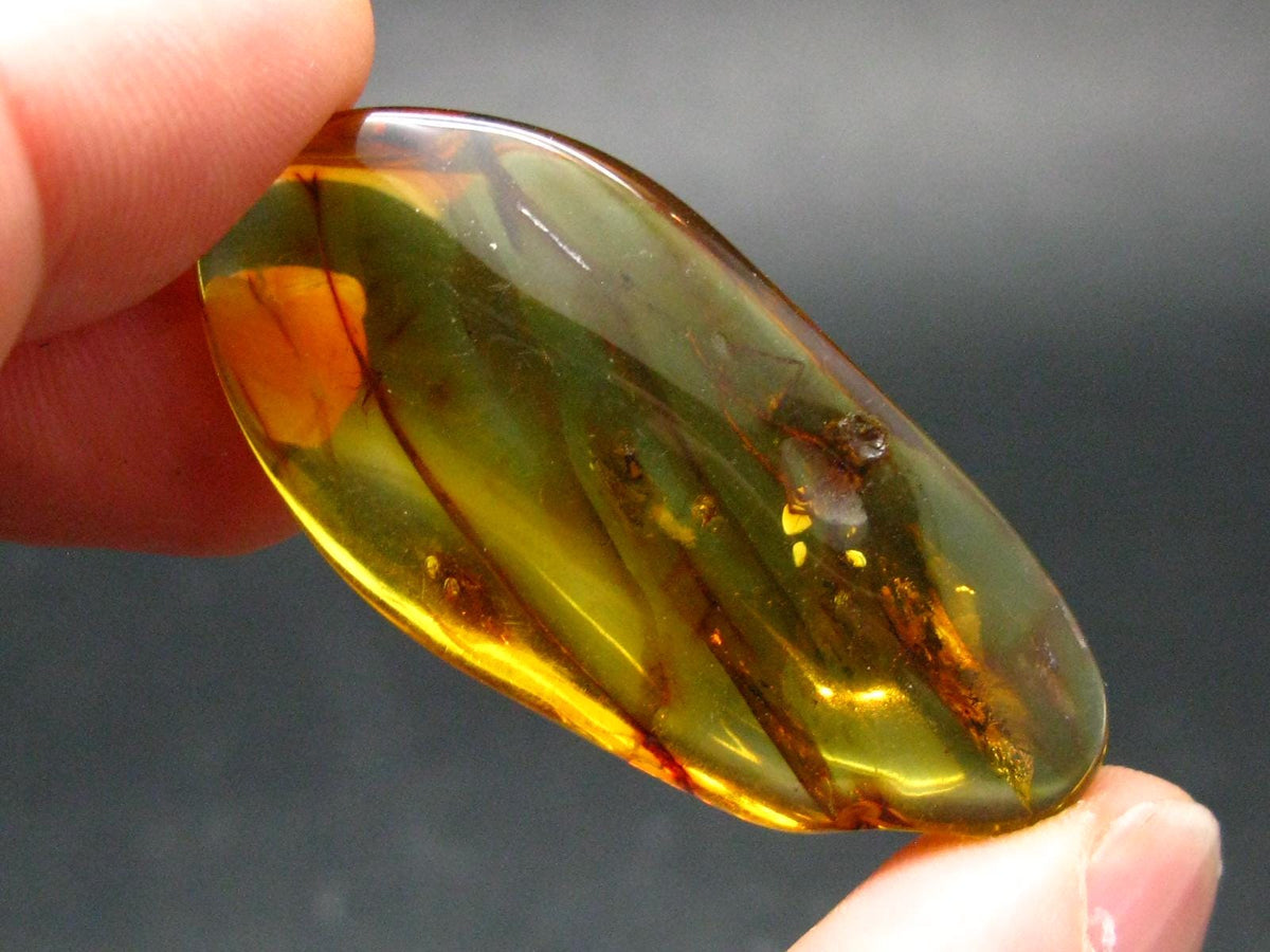 Insects in Amber Piece From Baltic Sea - 6.10 Grams - 2.0"