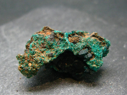 Very Nice Dioptase Cluster from Congo - 1.2" - 7.61 Grams