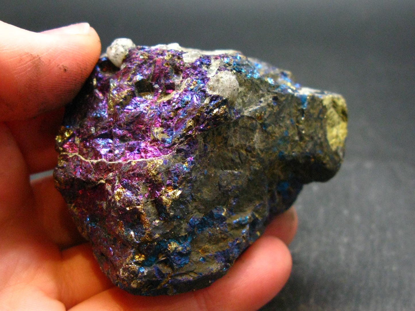 Peacock Ore!! Unusual Natural Raw Chalcopyrite Bornite from Mexico - 2.2" - 180.40 Grams