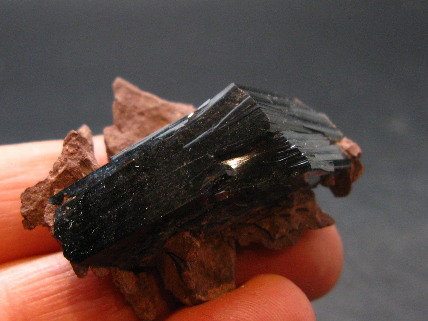 Vivianite Crystal From Bolivia - 1.6" - 12.6 Grams