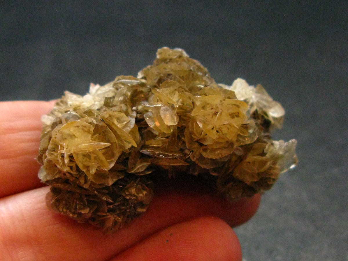 Amazing Fluorescent Gypsum Cluster from Canada - 1.6" - 15.28 Grams