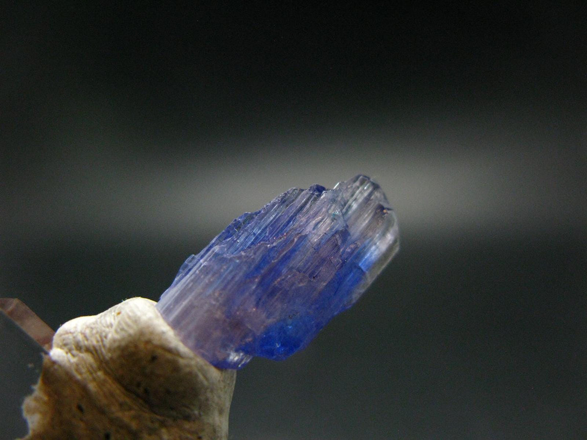 Fine Gem Tanzanite Zoisite Crystal From Tanzania - 9.20 Carats - 0.8"