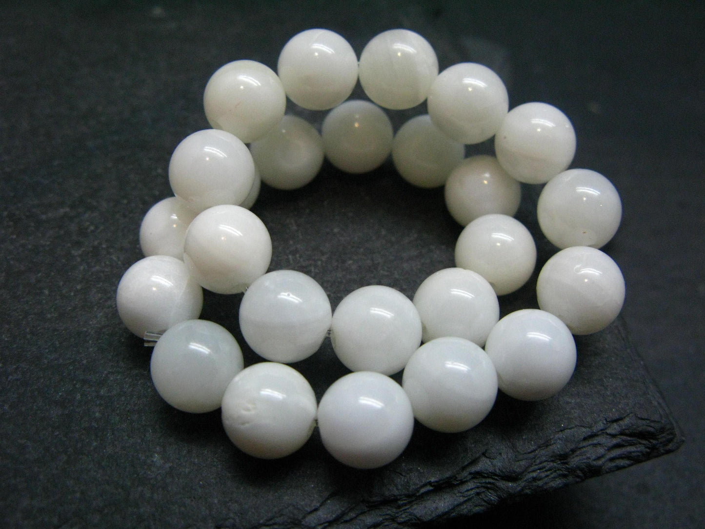 Mother of Pearl Shell Genuine Bracelet ~ 7 Inches ~ 8mm Round Beads