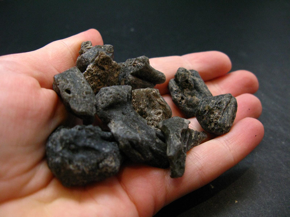 Lot of 10 Rare Darwin Glass Tektite Pleistocene Pieces From Australia - 42.67 Grams