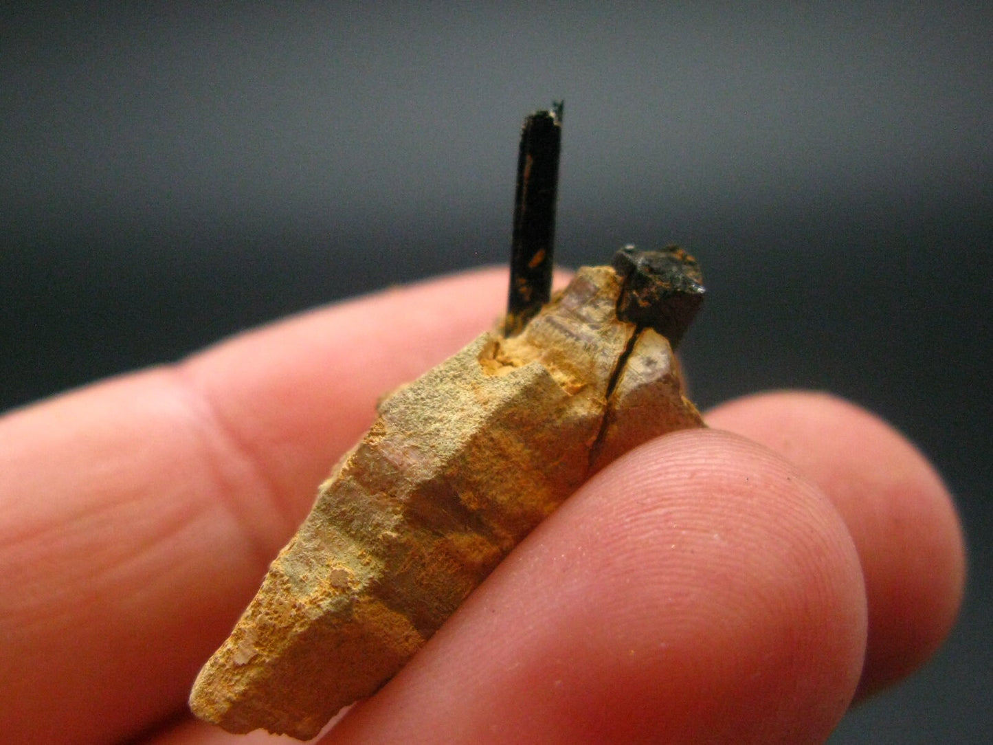 Rare Parisite Crystal From Malawi - 4.55 Grams - 1.0"