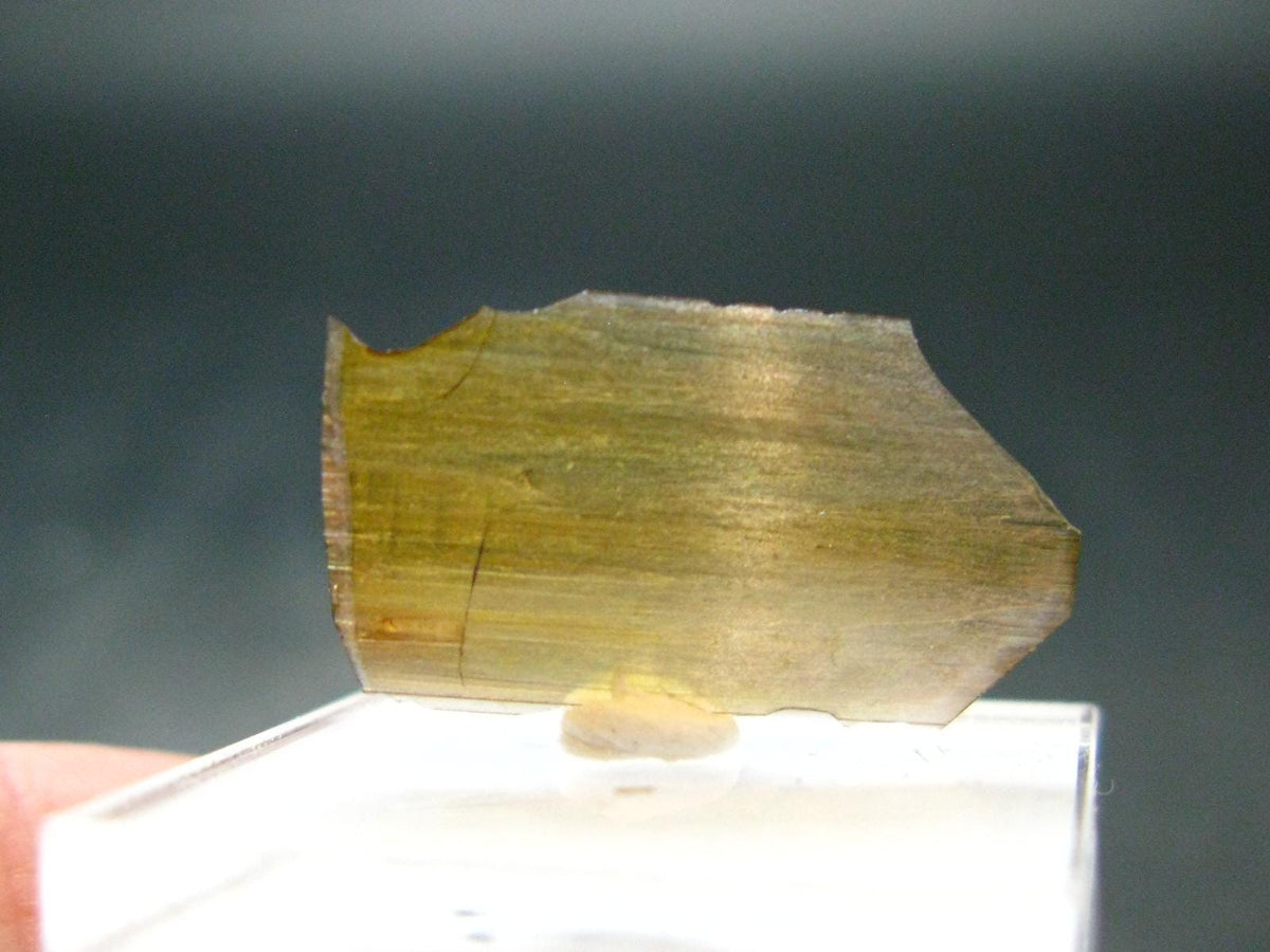 Large Brookite Crystal From Pakistan - 0.19 Grams - 21 mm