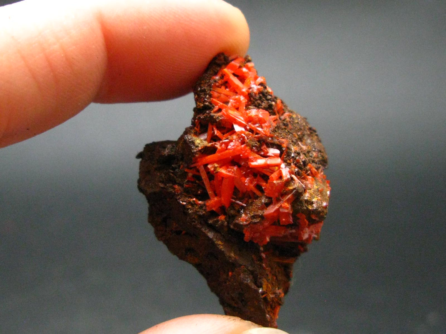 Rare Orange Crocoite Cluster From Australia - 1.4"- 11.53 Grams
