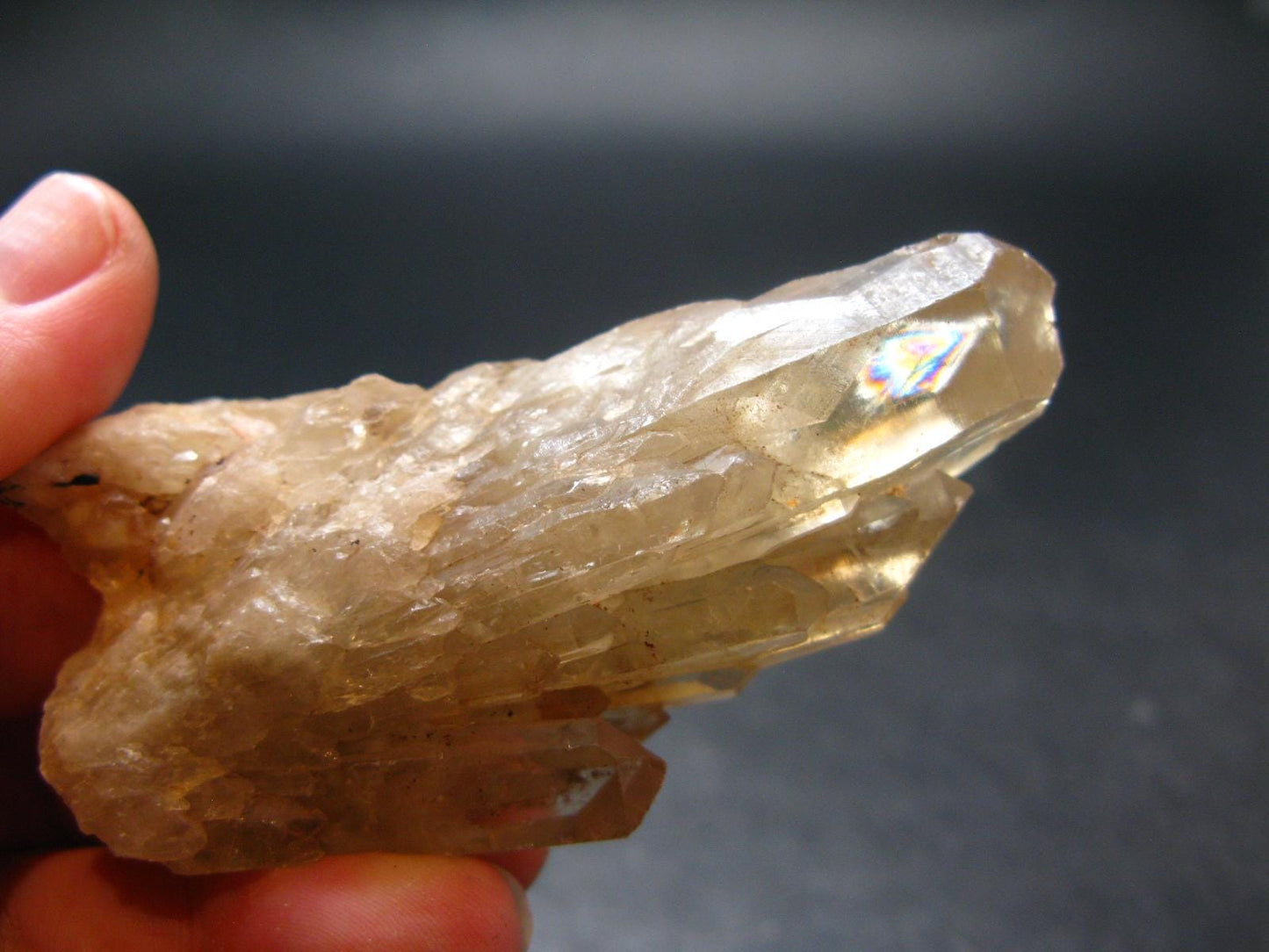 Natural Unheated Citrine Crystal from Congo - 65.29 Grams