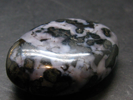 Gabbro Mystic Merlinite Tumbled Piece From Indian Ocean - 1.9"
