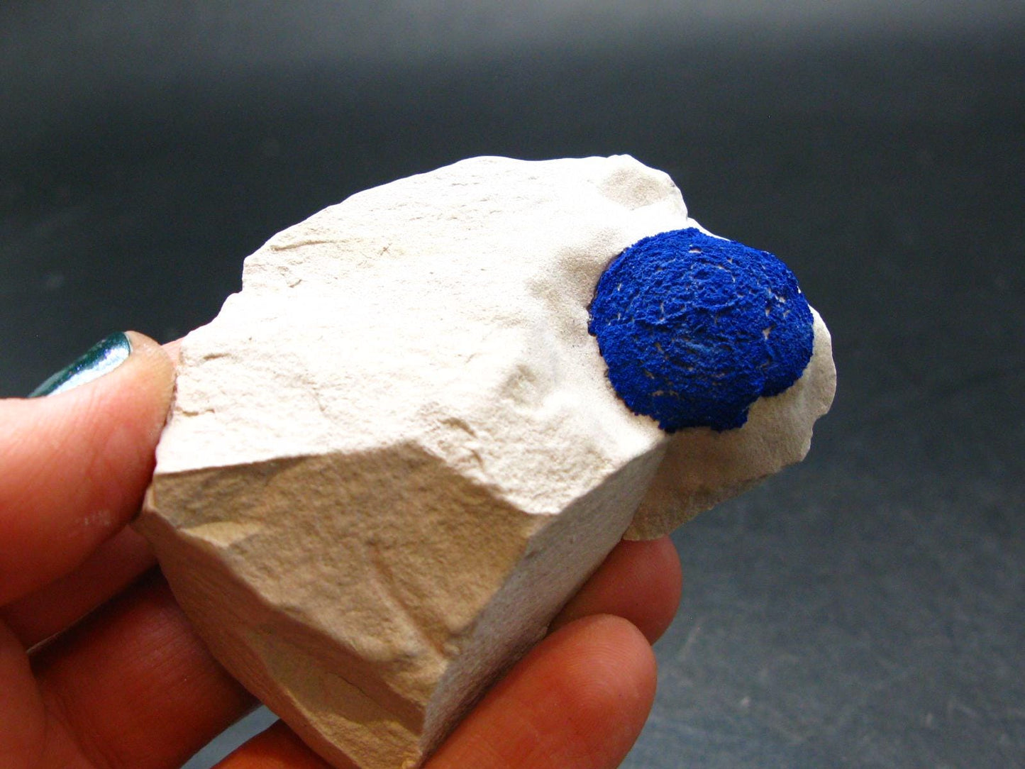 Fine Azurite Cluster From Australia - 2.4" - 49.09 Grams
