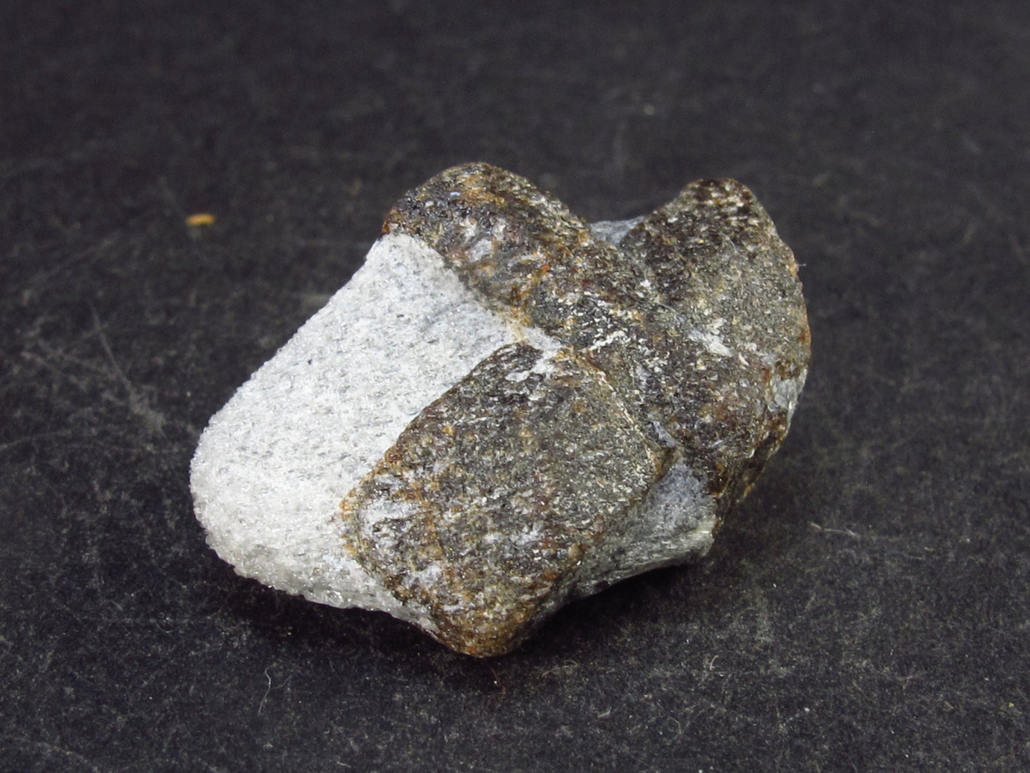 A Perfect Staurolite Crystal on Matrix from Russia - 1.0" - 7.2 Grams