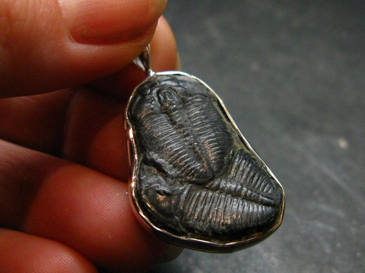 Trilobite Silver Pendant from USA - 1.3" - 3.83 Grams