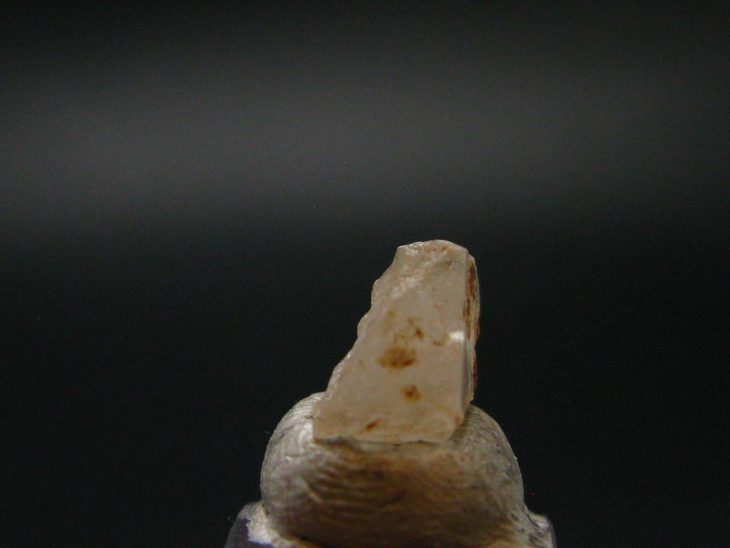 Phenakite Phenacite Crystal Bead from Nigeria 1.57 Carats