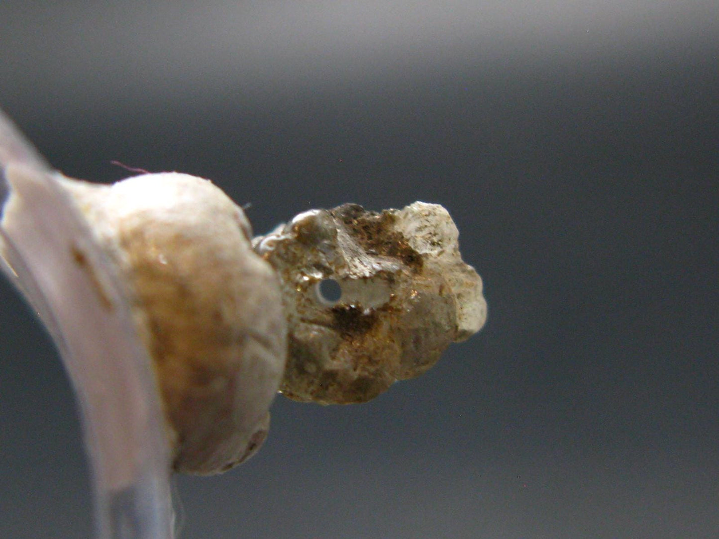 Phenakite Phenacite Crystal Bead from Brazil - 2.0 Carats