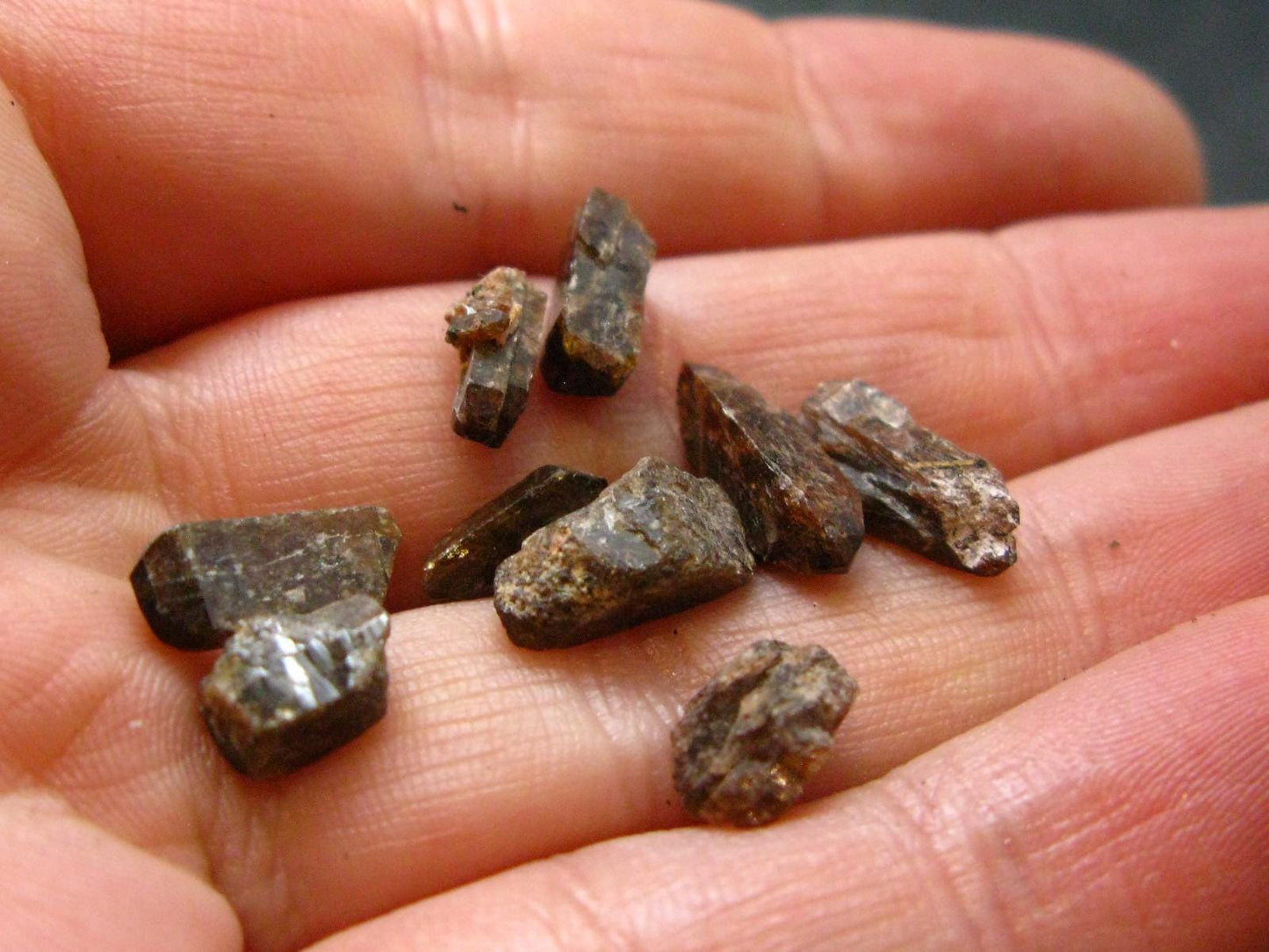 Lot of 10 Xenotime Crystals from Brazil - 20.85 Carats