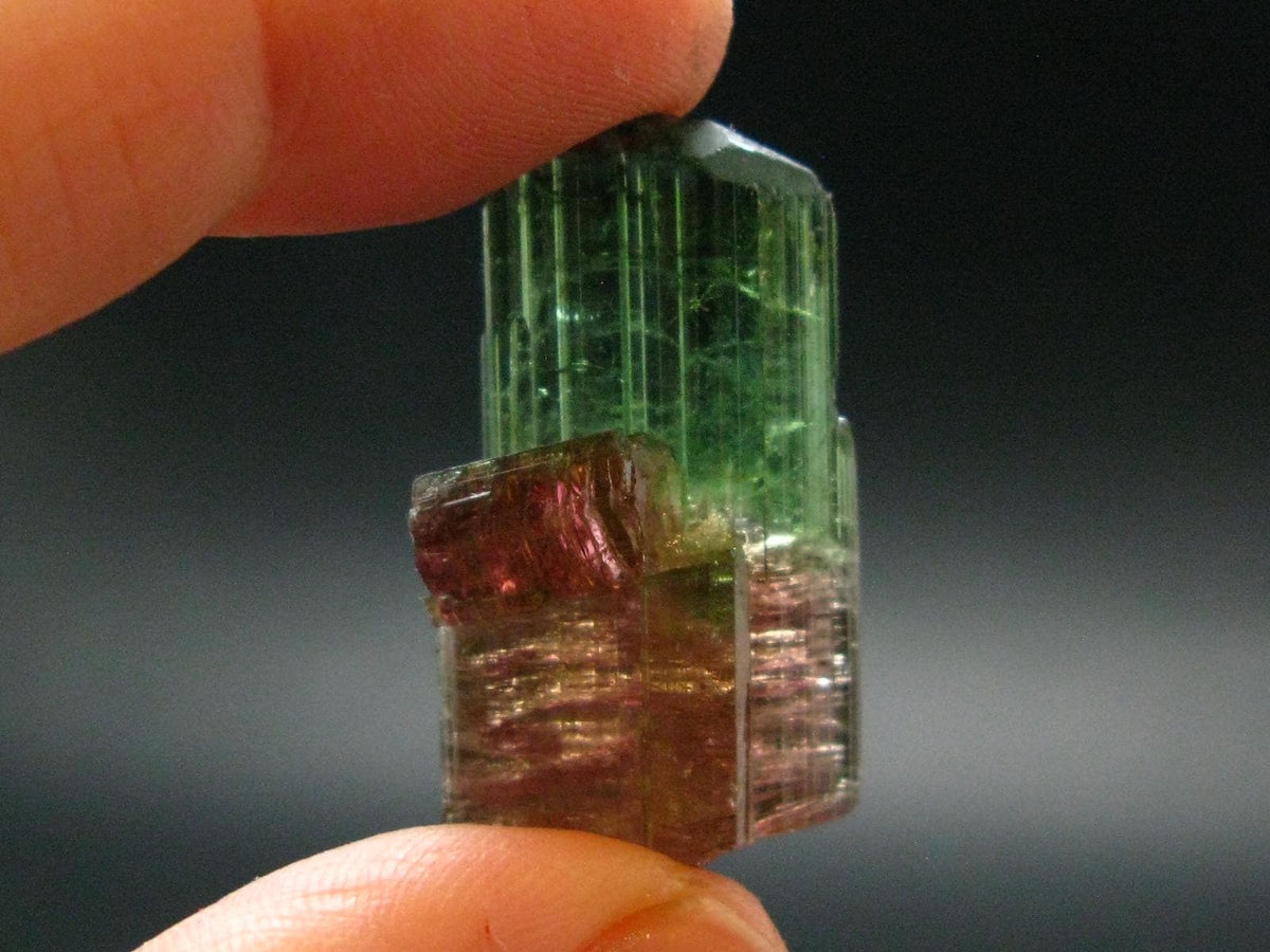 Rare Watermelon Tourmaline Crystal From Brazil - 1.1"