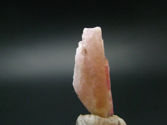 Rare Pezzottaite Crystal from Madagascar - 9.65 Carats - 0.7"