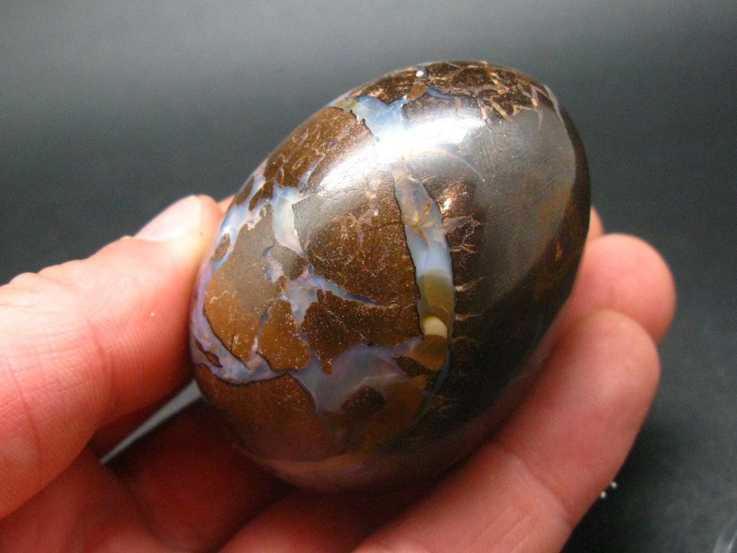 Super Rare Boulder Opal Egg from Australia - 2.3" - 145.2 Grams
