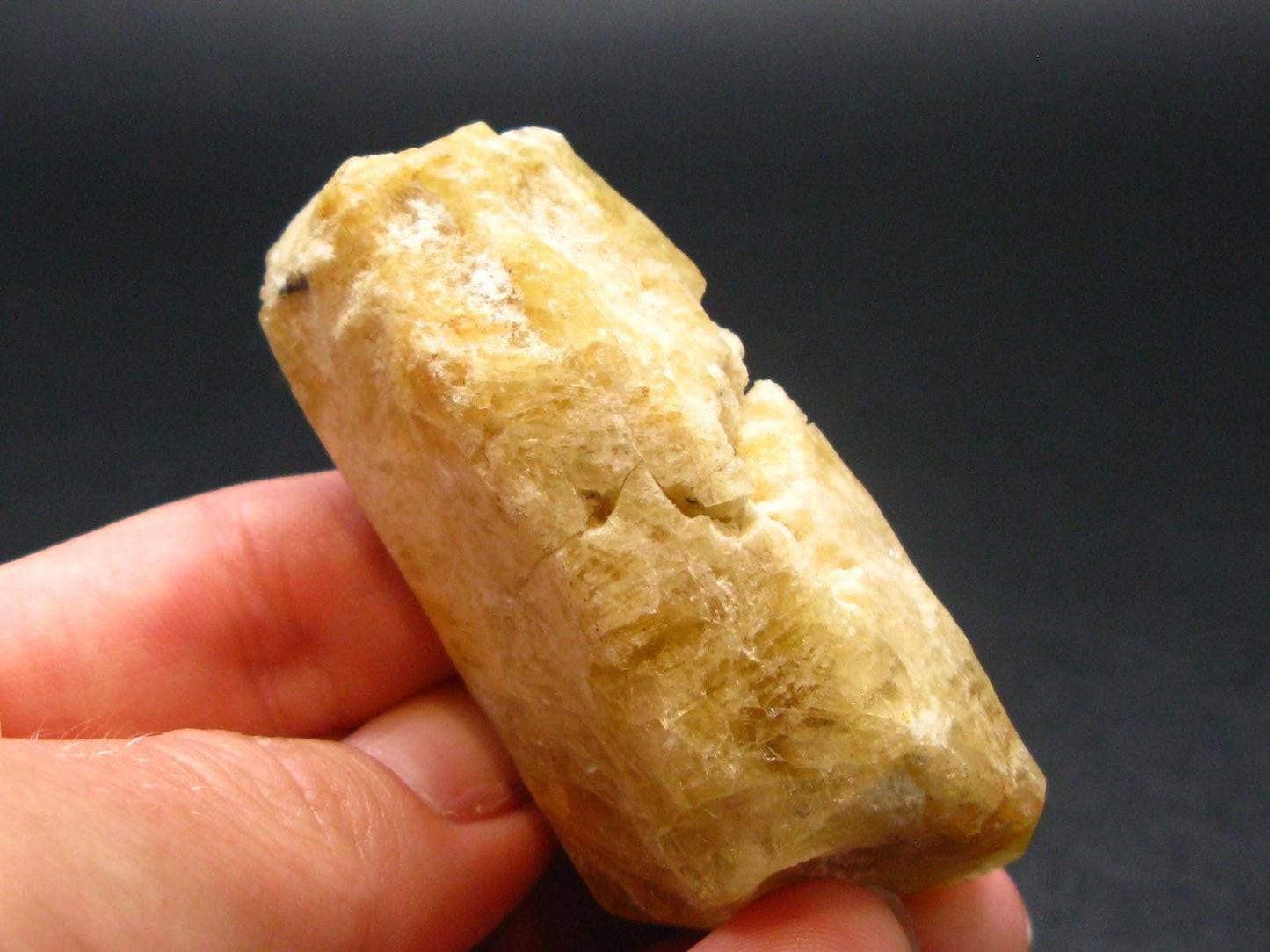 Gem Heliodor Golden Beryl Crystal from Madagascar - 49.90 Grams - 2.2"