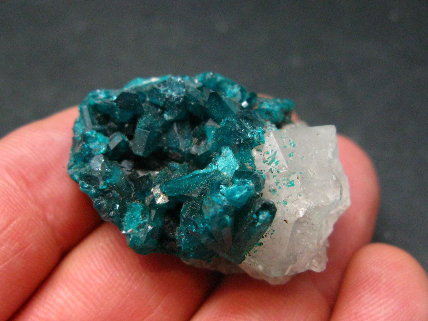 Very Nice Dioptase Cluster w/ Quartz from Congo - 1.5" - 18.18 Grams