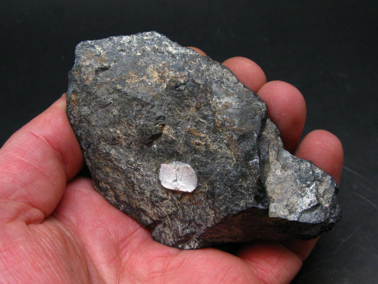 Tantalite Crystal From Brazil - 3.9" - 371.67 Grams