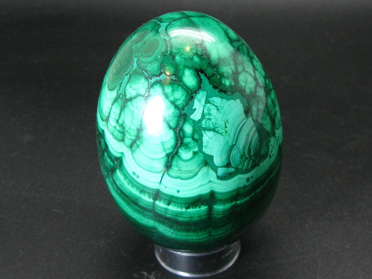 Large Rich Vivid Vibrant Green Malachite Egg From Congo - 3.5"