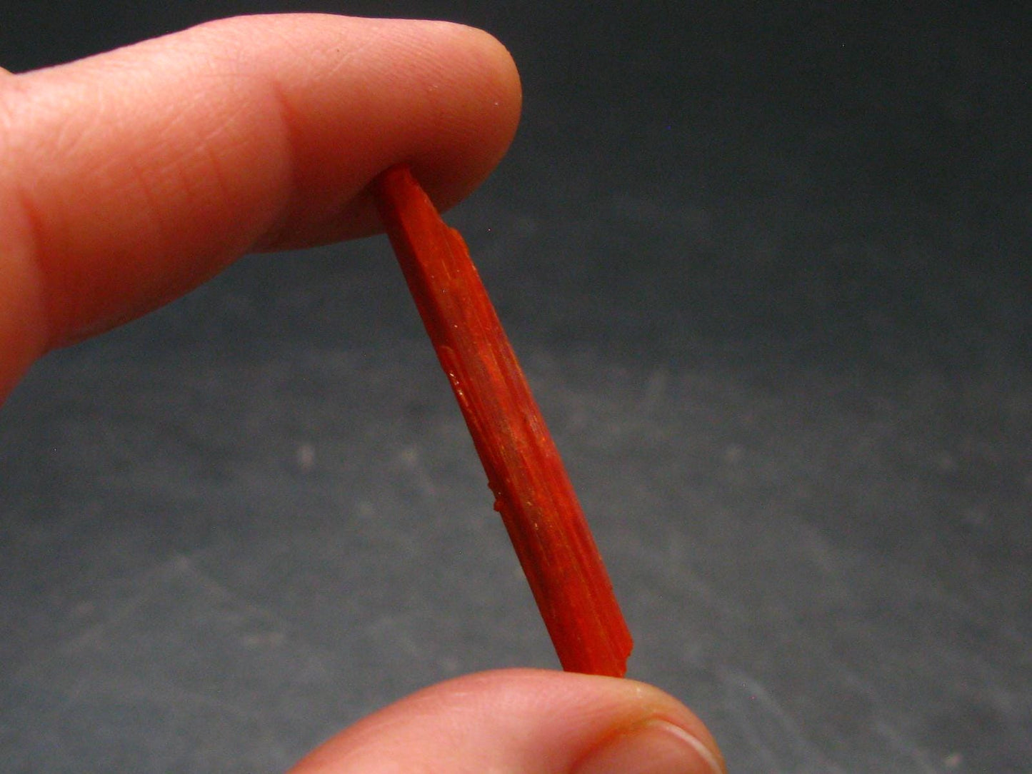 Large Orange Crocoite Crystal From Australia - 1.4" - 7.55 Carats