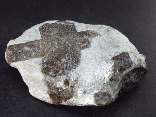 A Perfect Staurolite Crystal on Matrix from Russia - 3.3" - 253 Grams