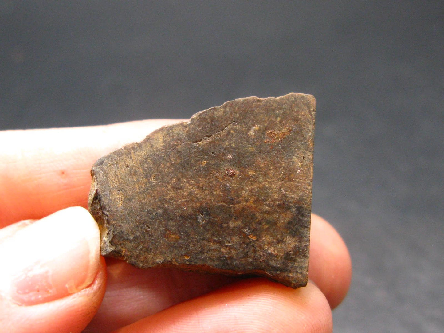 Rare Chondrite Stone Meteorite From Africa - 1.0" - 8.90 Grams