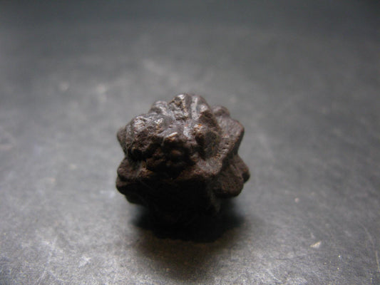 Very rare Z-Stone (Limonite after Marcasite) from Sahara Dessert, Egypt - 0.8" - 13.59 Grams