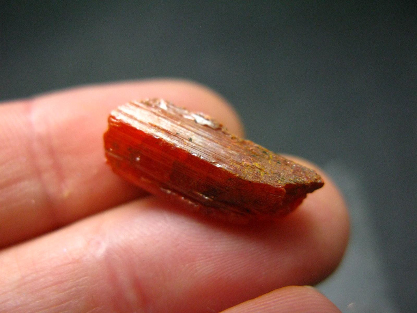 Large Orange Crocoite Crystal From Australia - 0.7" - 13.10 Carats