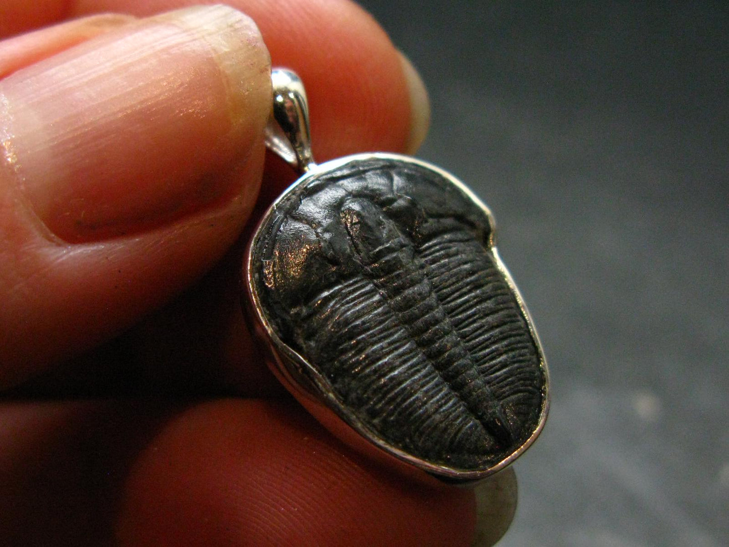 Trilobite Silver Pendant from USA - 1.0" - 2.14 Grams